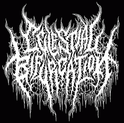 logo Celestial Bifurcation logo Celestial Bifurcation